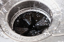 Garbage disposal in sink