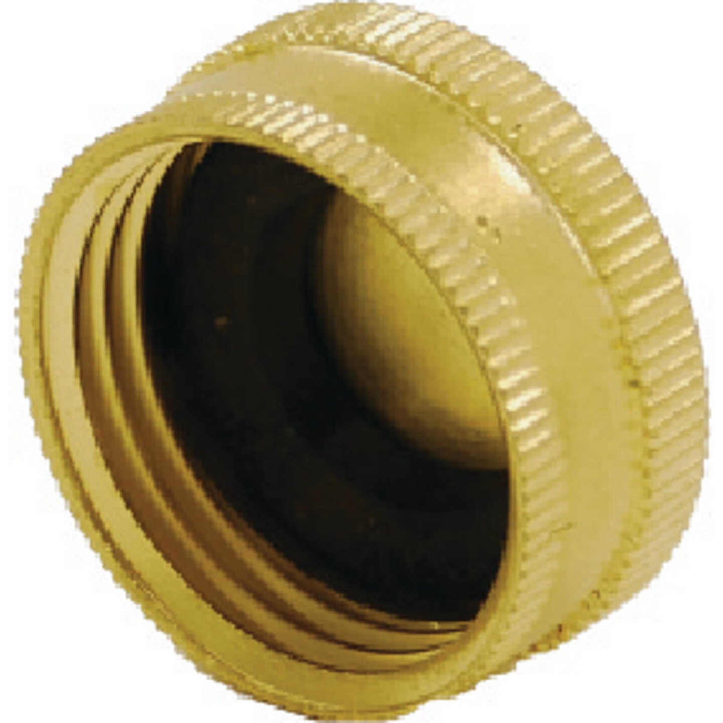 Brass Hose Caps Image 1