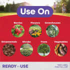 Insecticidal Insect Killing Soap Image 2