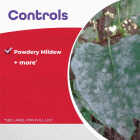 Insecticidal Insect Killing Soap Image 4