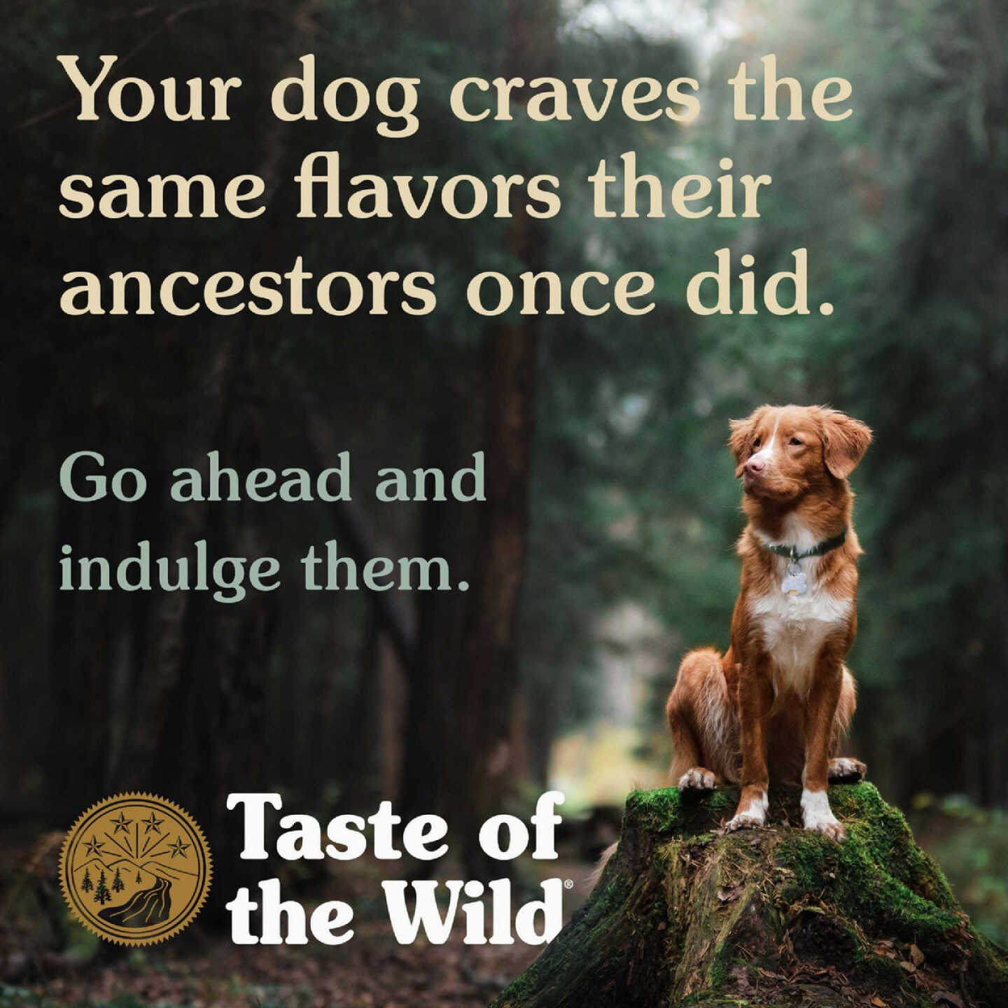 Taste Of The Wild Wetland Can Dog Food Image 4