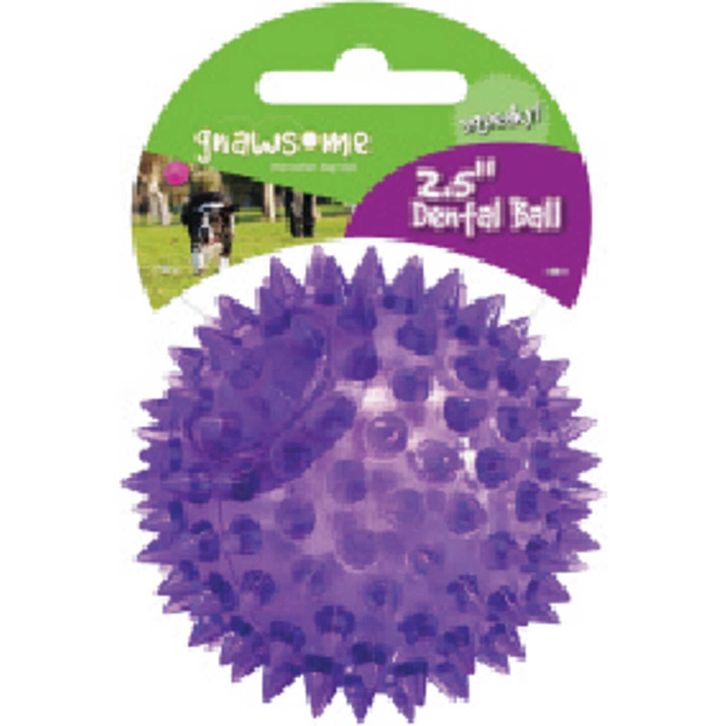 Gnawsome Squeaker Ball, Small Image 1