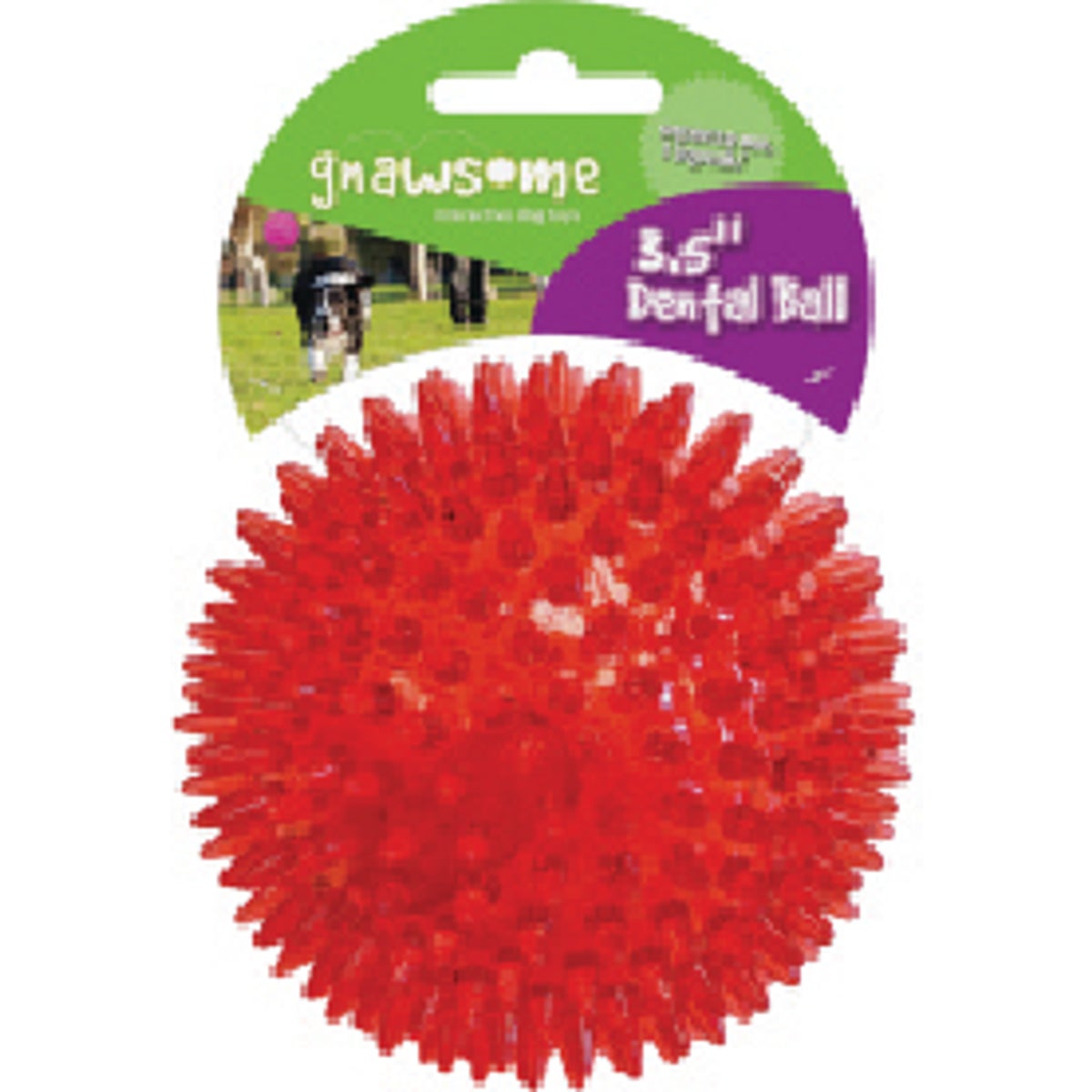 Gnawsome Squeaker Ball, Medium