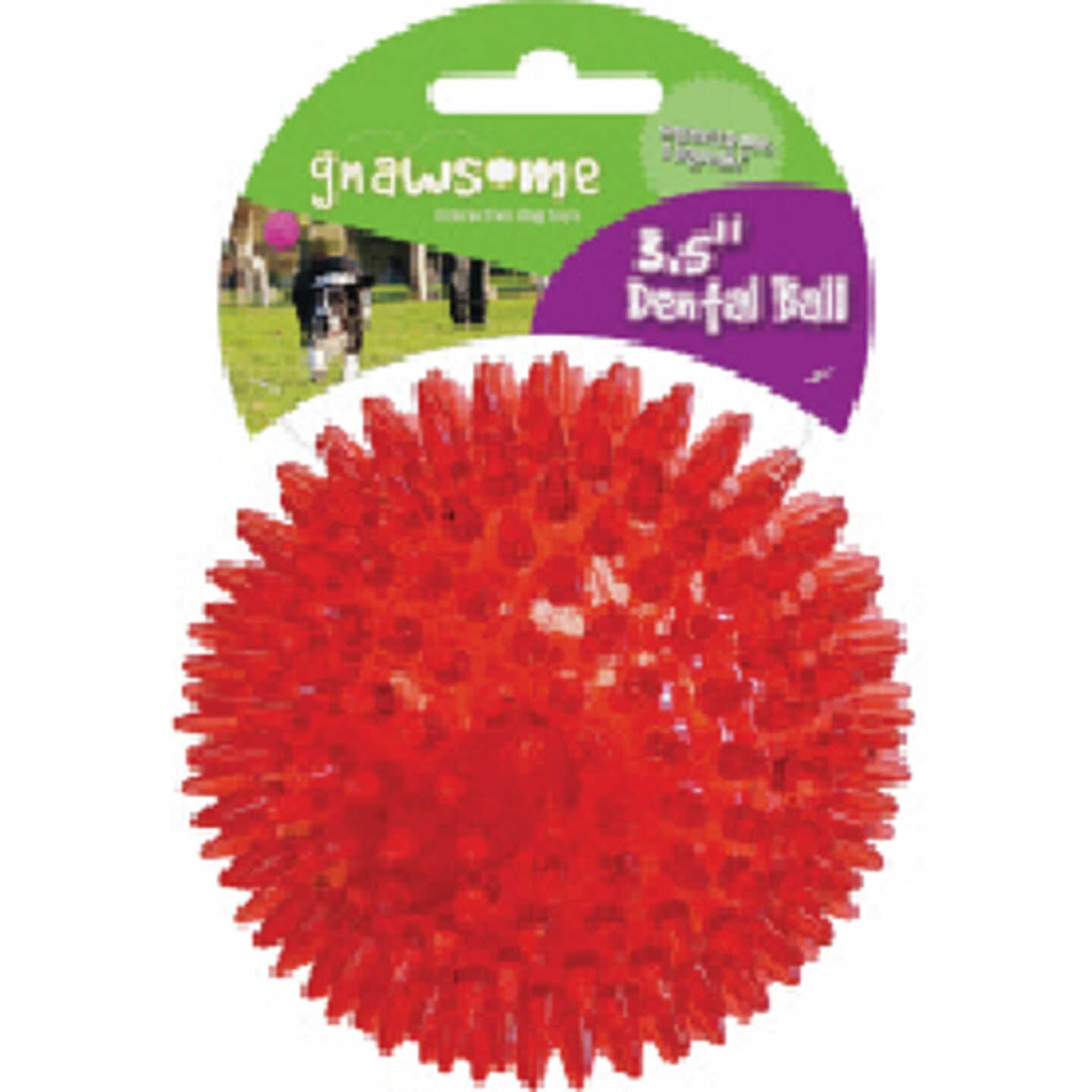 Gnawsome Squeaker Ball, Medium Image 1