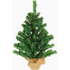 Tree In Burlap Bag Base Image 1