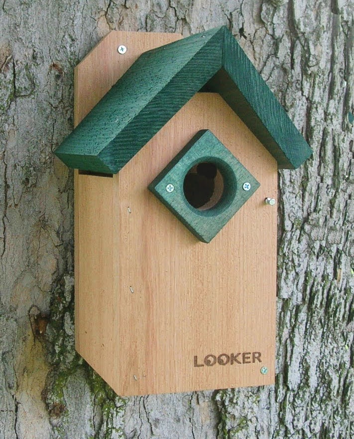 Songbird Essentials Bluebird House with Green Roof