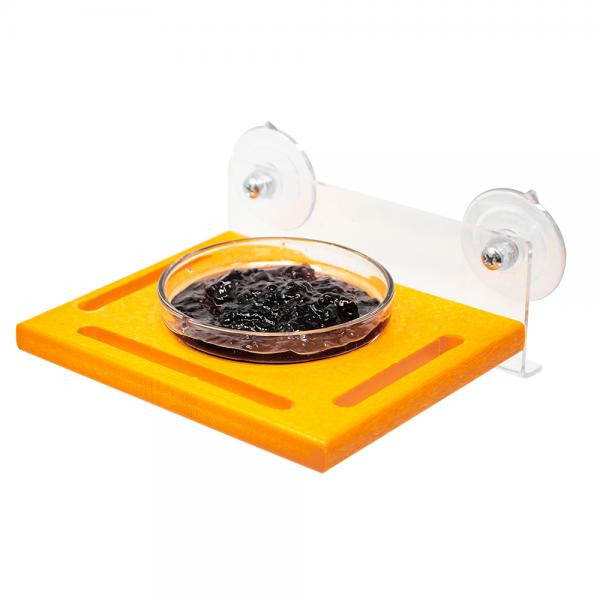 Songbird Essentials Orange Window Jelly Feeder