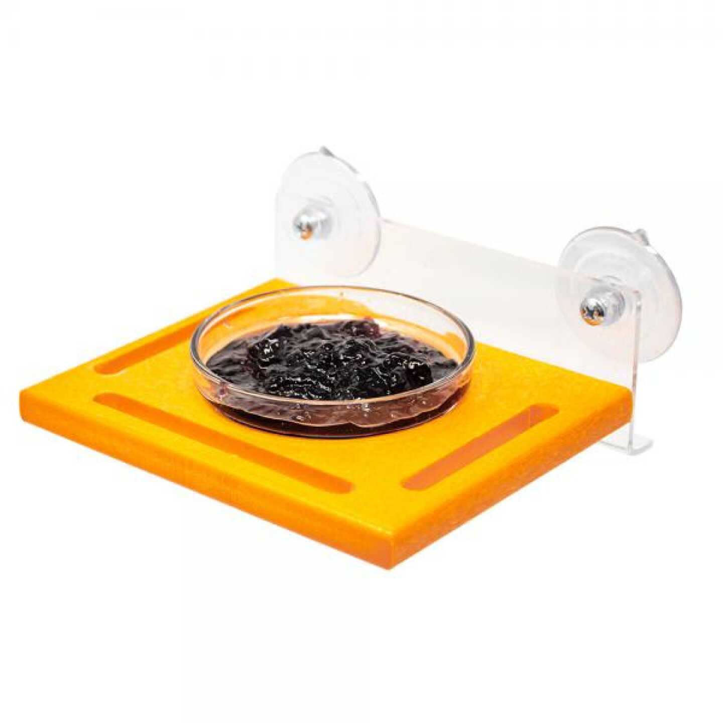 Songbird Essentials Orange Window Jelly Feeder Image 1