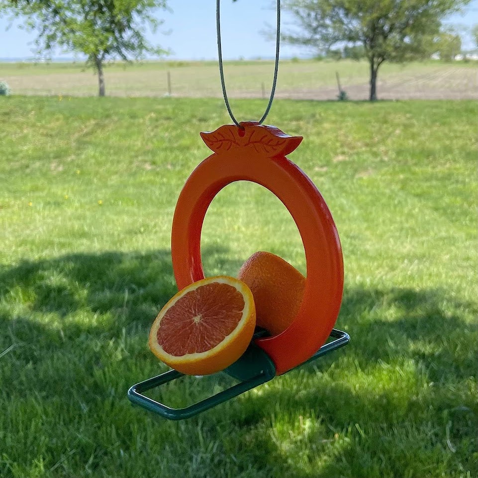 Songbird Essentials Two-Sided Double Orange Fruit Oriole Bird Feeder Image 3