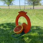 Songbird Essentials Two-Sided Double Orange Fruit Oriole Bird Feeder Image 3