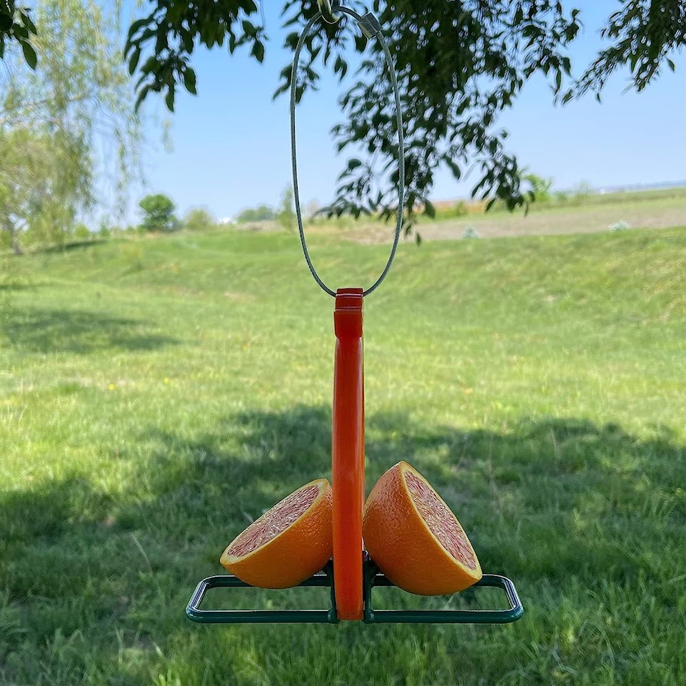 Songbird Essentials Two-Sided Double Orange Fruit Oriole Bird Feeder Image 4