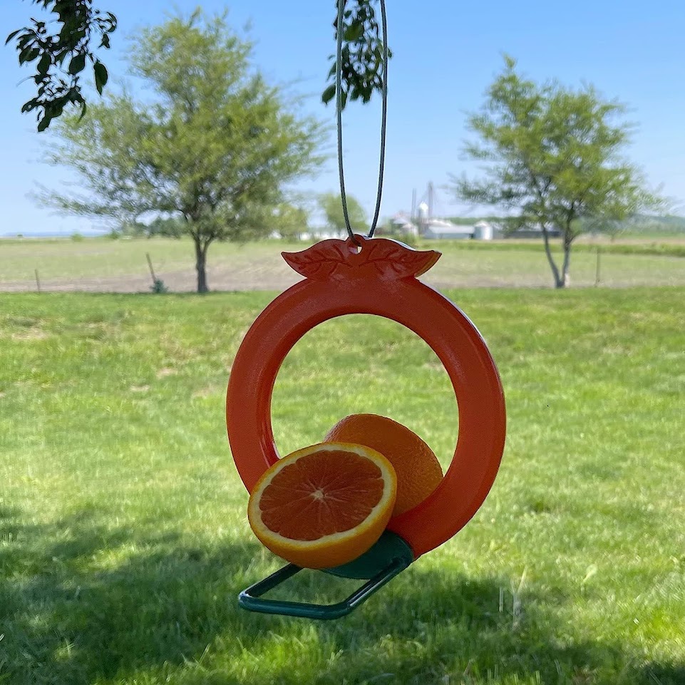 Songbird Essentials Two-Sided Double Orange Fruit Oriole Bird Feeder Image 5