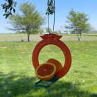 Songbird Essentials Two-Sided Double Orange Fruit Oriole Bird Feeder Image 5