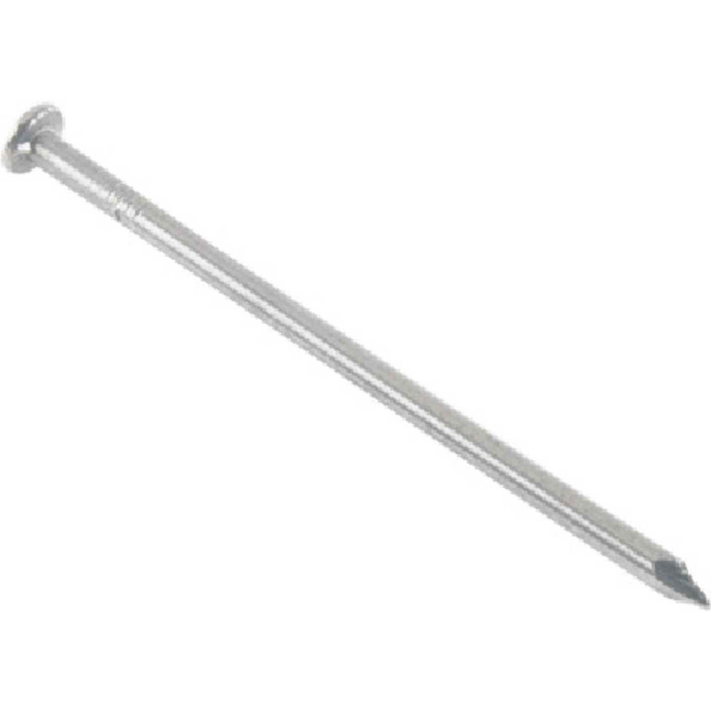 Common Bright Nail Image 1