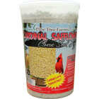 Pine Tree Farms Hot Pepper Large Suet Cake 3 Pounds Image 1