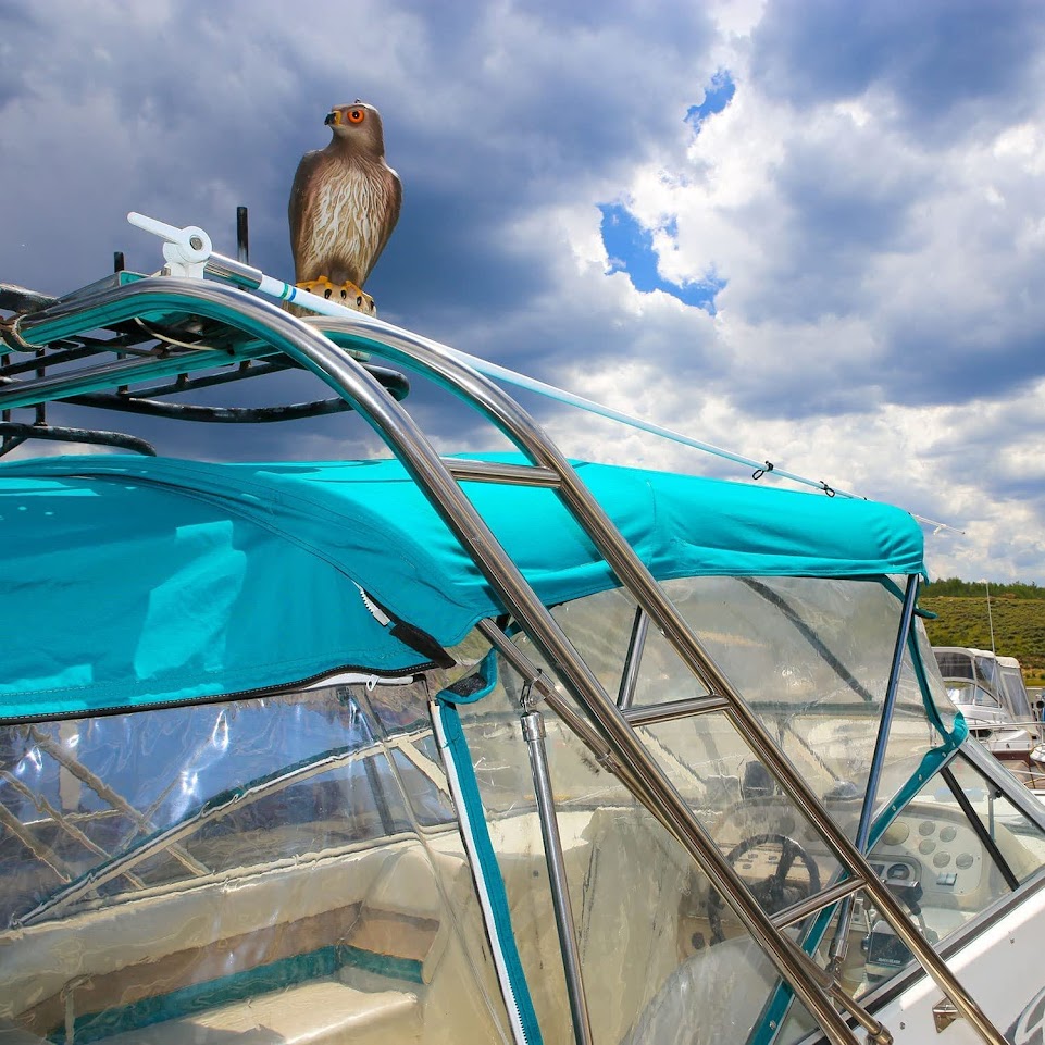 Bird B Gone Hawk Decoy Image 3