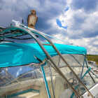 Bird B Gone Hawk Decoy Image 3