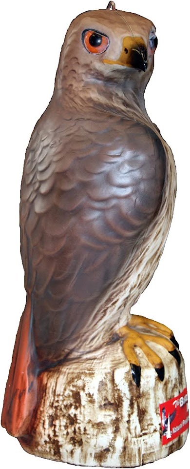 Bird B Gone Hawk Decoy Image 4