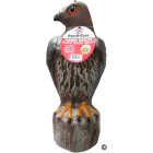 Bird B Gone Hawk Decoy Image 5