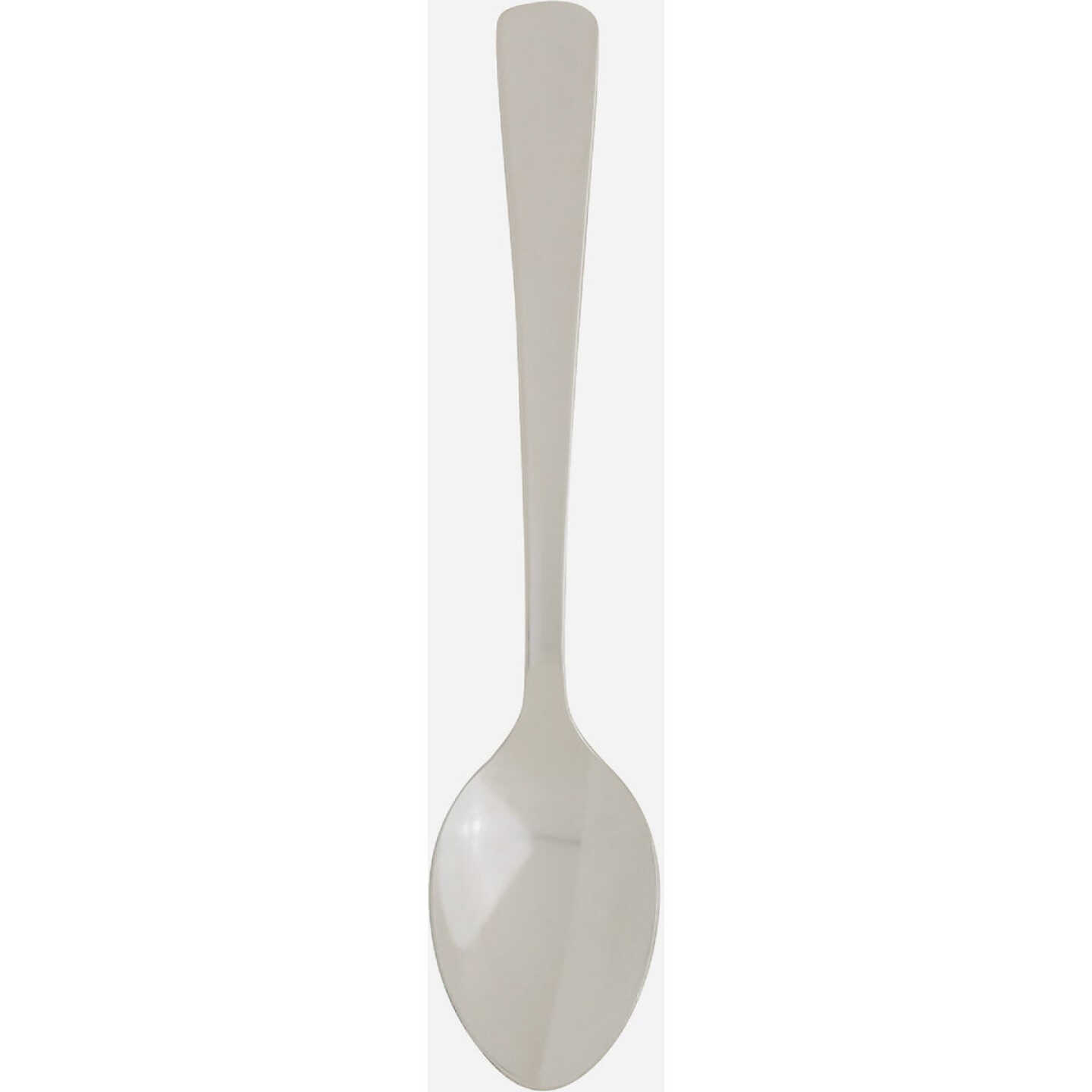 Fino 4.625 In. Stainless Steel Demi Spoon Image 1