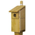 Stovall Products Screech Owl & Kestrel Nesting Box 6H Image 1