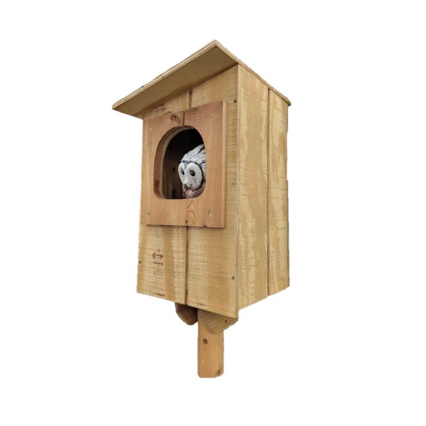 Stovall Products Barred Owl Nesting Box 6HB Image 2
