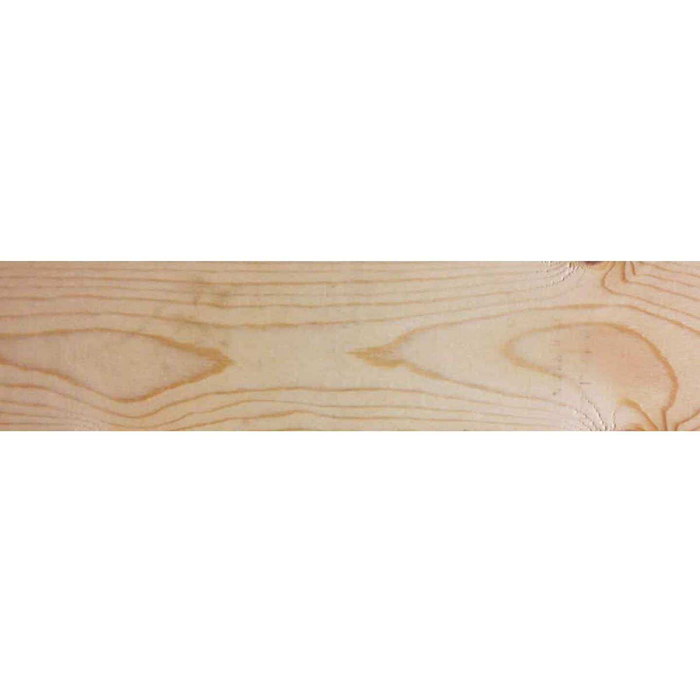 1 In. x 4 In. x 8 Ft. Appearance Grade Ground Contact Treated Lumber