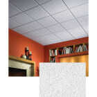 USG Eclipse 2 Ft. x 2 Ft. Mineral Fiber Suspended Acoustical Ceiling Panels (12-Count) Image 1