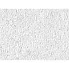 USG Eclipse 2 Ft. x 2 Ft. Mineral Fiber Suspended Acoustical Ceiling Panels (12-Count) Image 3