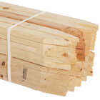 Kitzmans 3/8 In. x 1-1/2 In. x 48 In. Lath Stake (50-Pack) Image 1