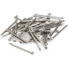 1 LB LACQUER STEEL NAILS Image 1