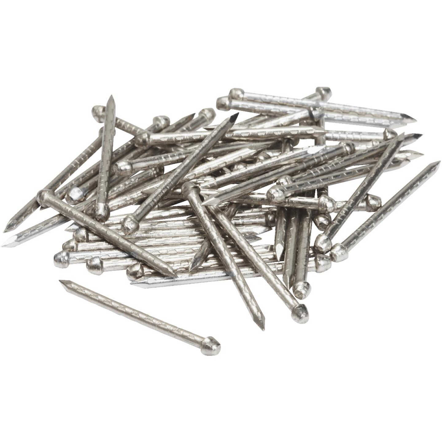 1 LB LACQUER STEEL NAILS Image 1