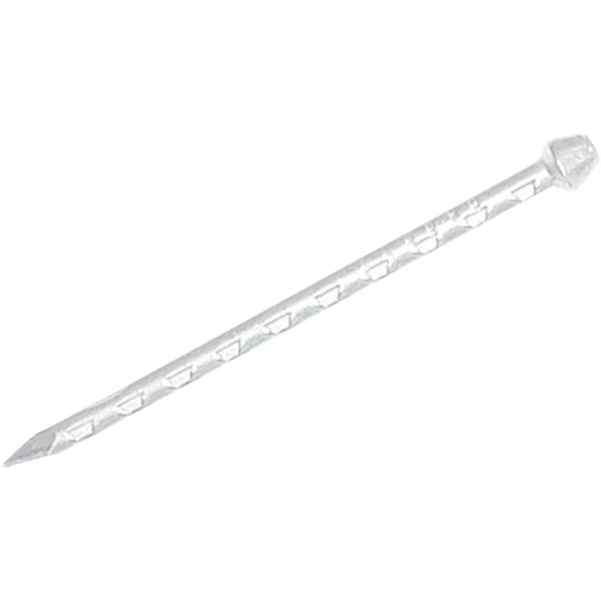 1 LB WHITE NAILS Image 1