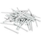 1 LB WHITE NAILS Image 1