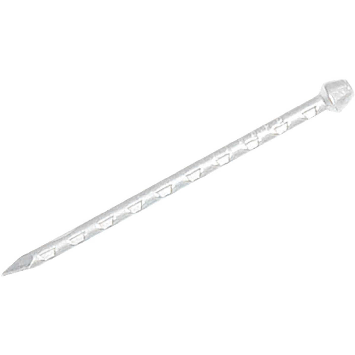 1 LB WHITE NAILS Image 2