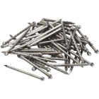 1 LB BARE STEEL NAILS Image 1
