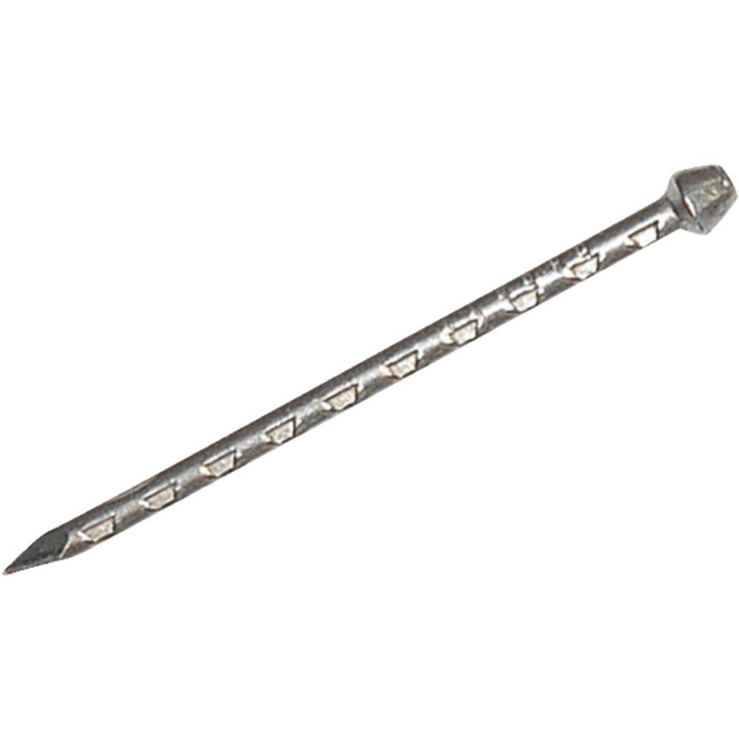 1 LB BARE STEEL NAILS Image 2