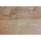 ProWood 3/8 In. x 24 In. x 24 In. Birch Plywood Image 1