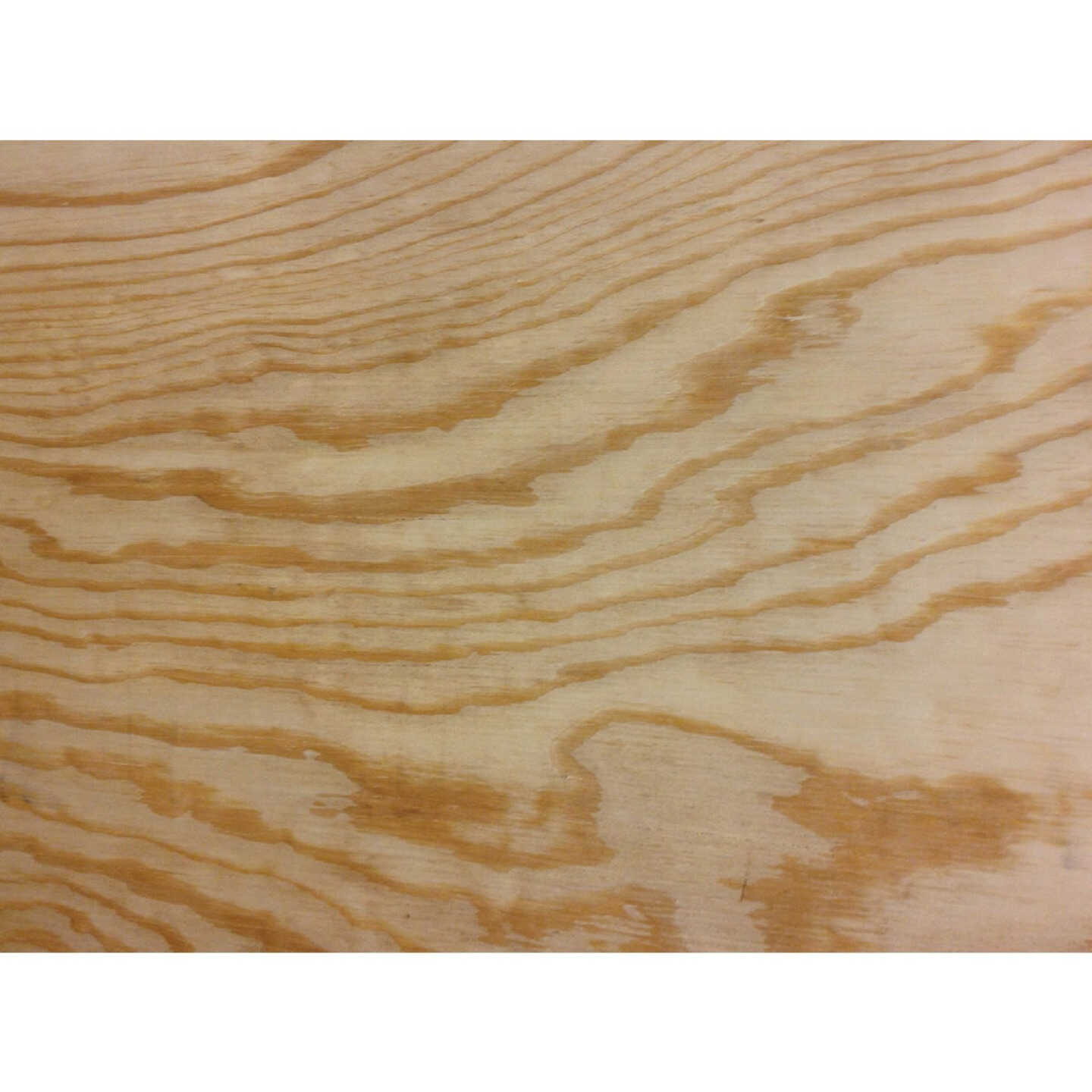 ProWood 1/2 In. x 24 In. x 24 In. BCX Pine Plywood Image 1