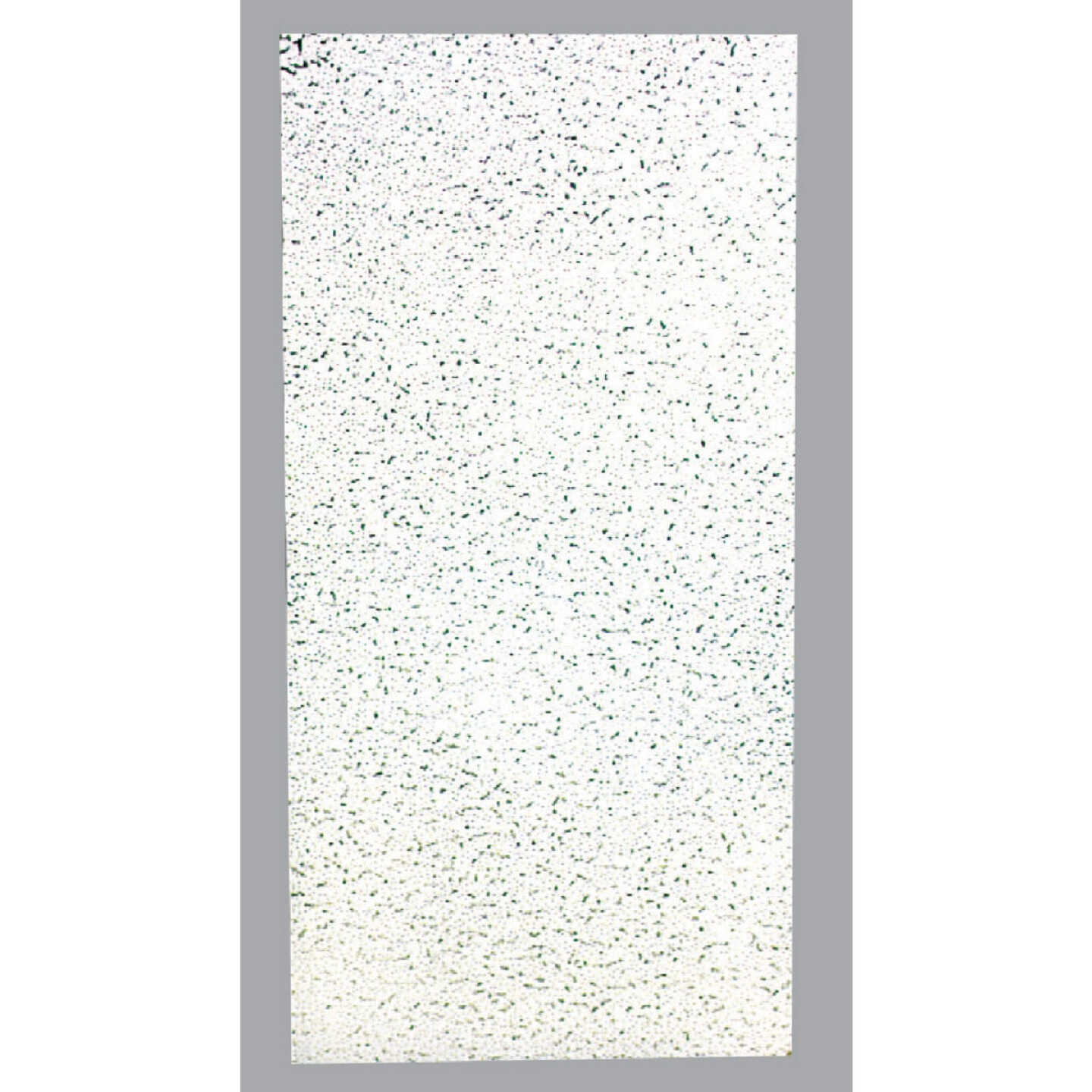 USG Fissured Basic 2 Ft. x 4 Ft. Firecode Acoustical Ceiling Panels (8-Count) Image 1