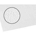 Palram Palclad Pro Cracked Ice .090 White 48 In. x 96 In. NRP Panel Image 1