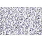 Plaskolite 2 Ft. x 4 Ft. Cracked Ice Clear Acrylic Light Panel Image 1