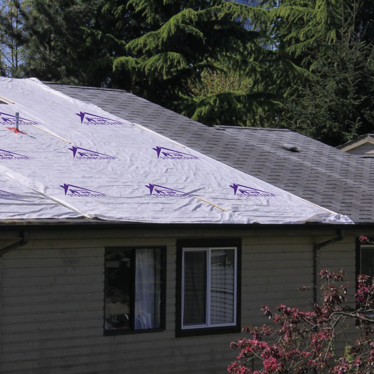 Do it Best 10 Ft. x 300 Ft. REX STORMCOVER Temporary Roof Protection Tarp Image 2