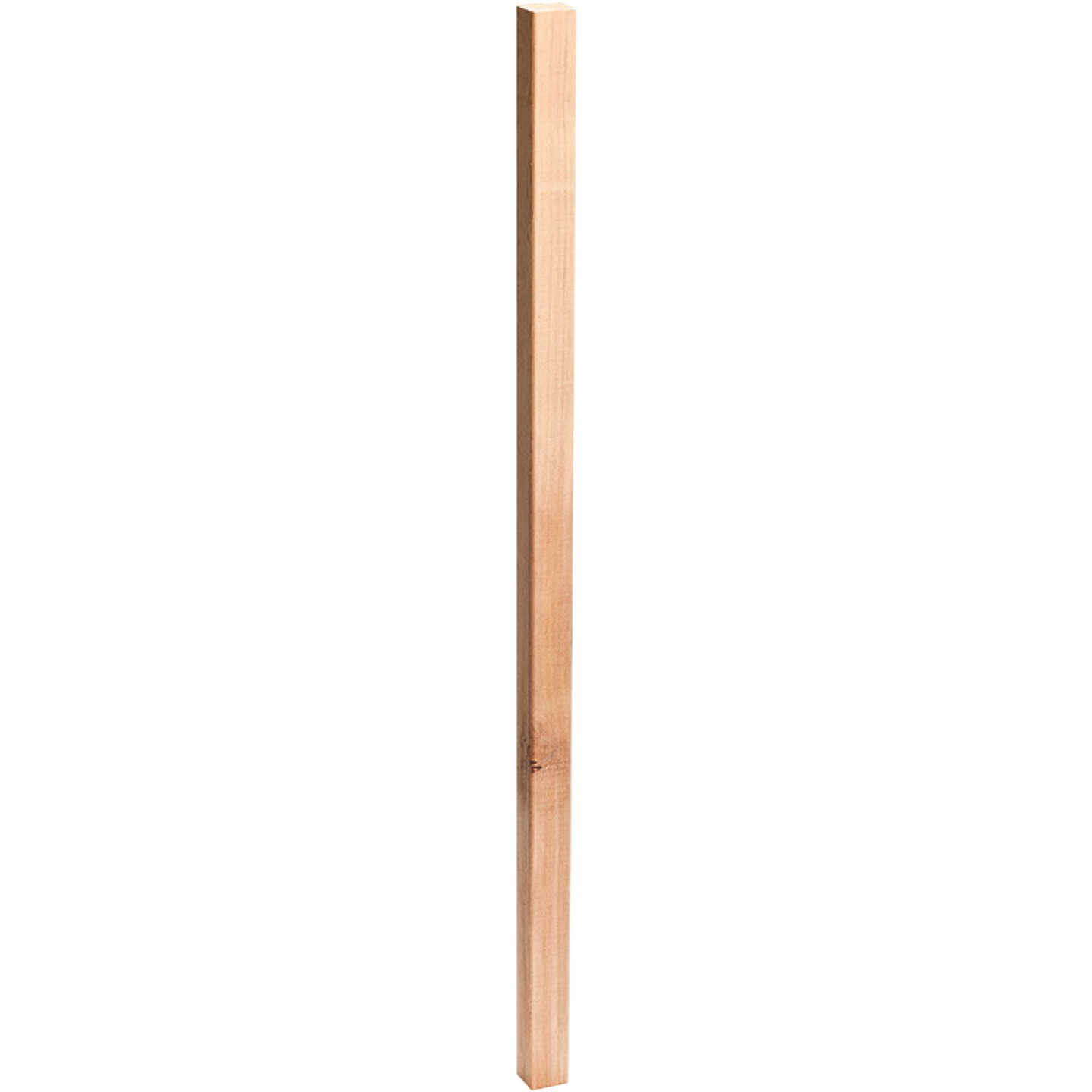 Real Wood 2 In. x 2 In. x 36 In. Cedar Square Baluster Image 1