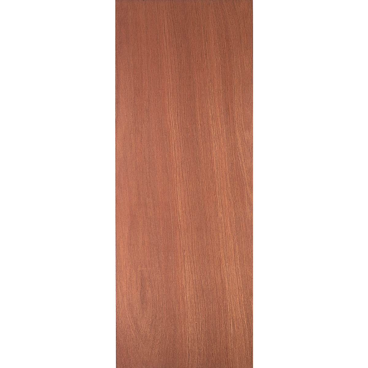 Masonite 30 In. W. x 80 In. H. Lauan Wood Interior Hollow Core Door Slab