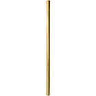 ProWood 2 In. x 2 In. x 36 In. Square Treated Wood Baluster Image 1