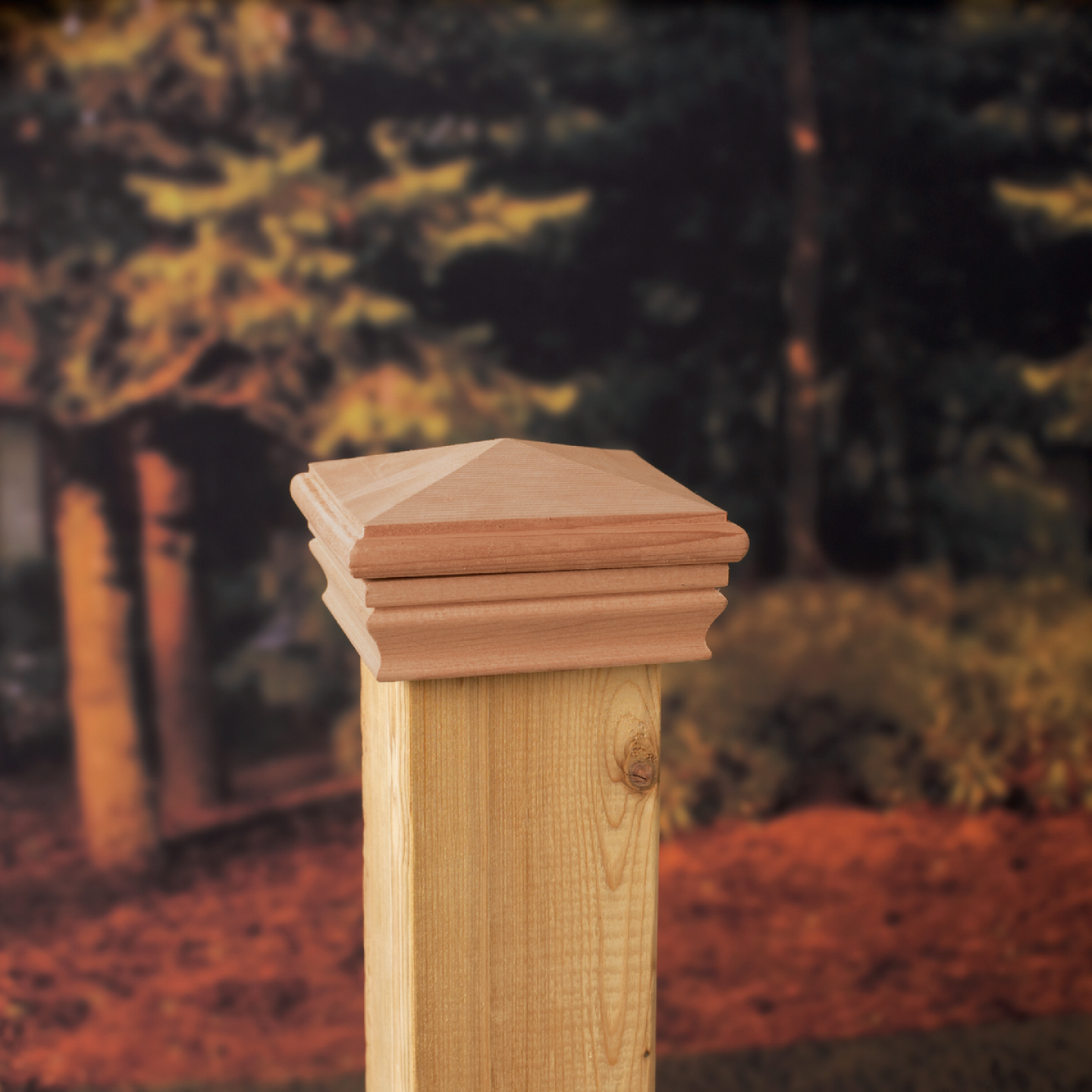 Deckorators 4 In. x 4 In. Cedar Press-On Post Cap Image 2