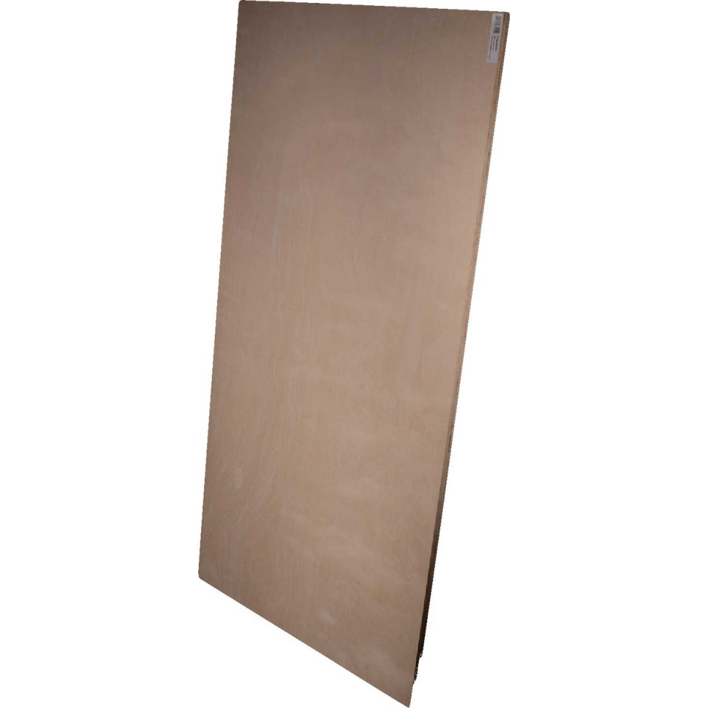 Alexandria Moulding 3/4 In. x 24 In. x 48 In. Pine Plywood Image 1