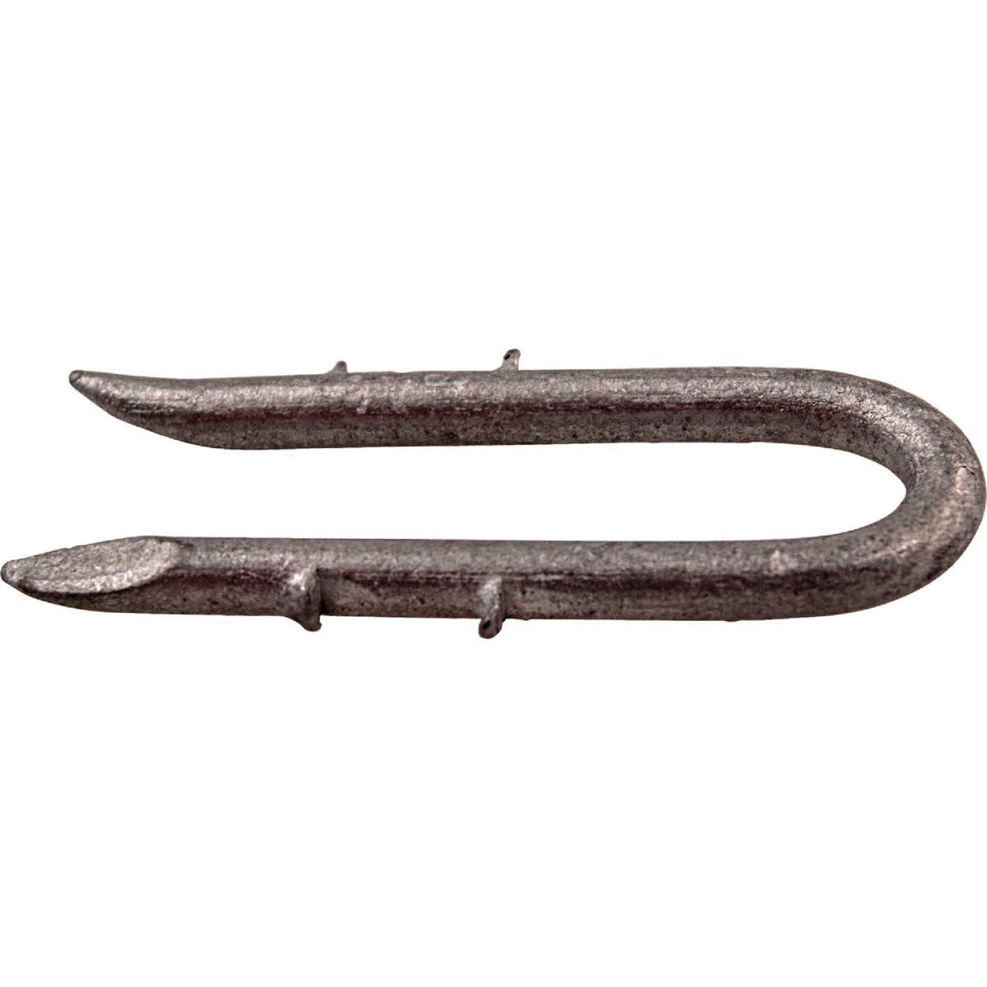 PrimeSource 1-3/4 In. 8 ga Double Barb Galvanized Fence Staple (1560 Ct., 30 Lb.) Image 1