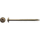 Big Timber #10 x 3 In. Star Cabinet Screw (1 Lb.) Image 1
